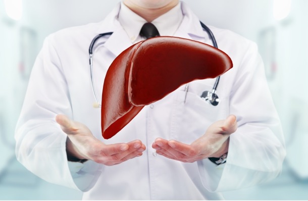 Черният дроб е един от най-важните органи в човешкия организъм