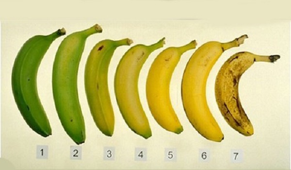 Бананите са плод който много хора пренебрегват Факт е че