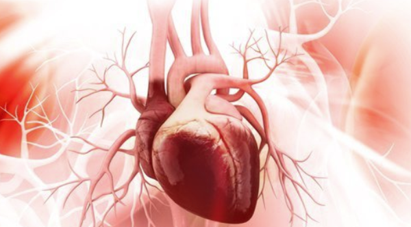 Експертите казват че безсимптомната смърт от спиране на сърцето няма
