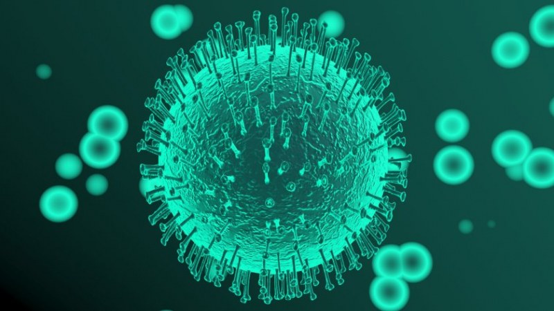 Новият коронавирус може да запази инфекциозността си за период от