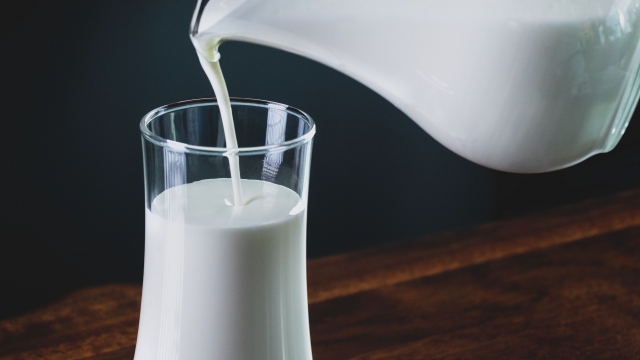 Пиенето на две чаши прясно мляко дневно може да увеличи