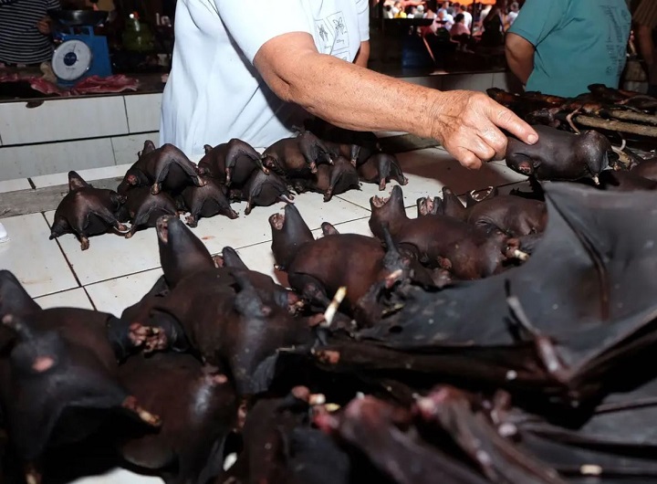 В Китай очевидно не са си научили урока от трагедията