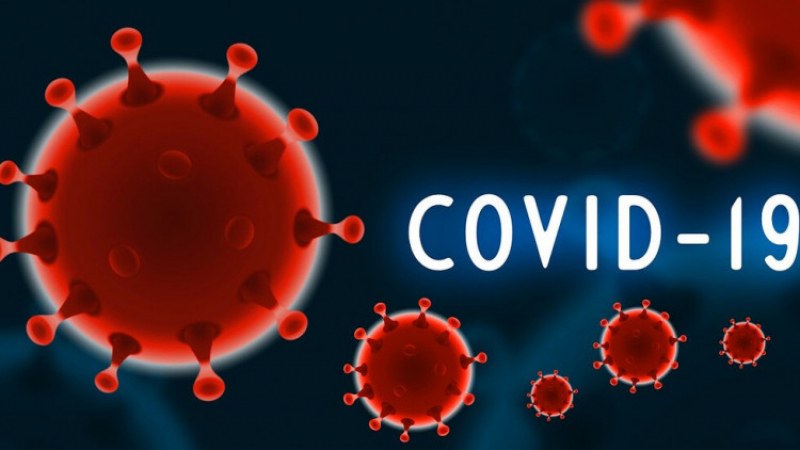 Според проучване на учени от Оксофрдския университет разпространението на коронавирус