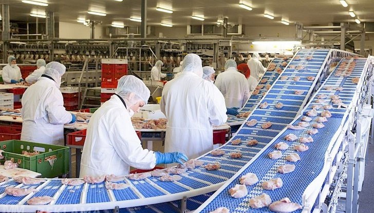 180 служители на завод за пакетиране на месо в германски град Косфелд