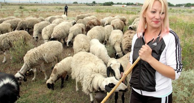 Чаровна блондинка, родом от Молдова, пасе овцете в село Скутаре.