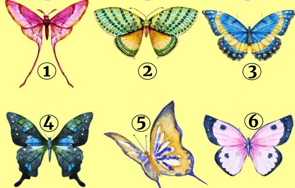 Пеперудата от този тест показва характера ви Тестовете с избор