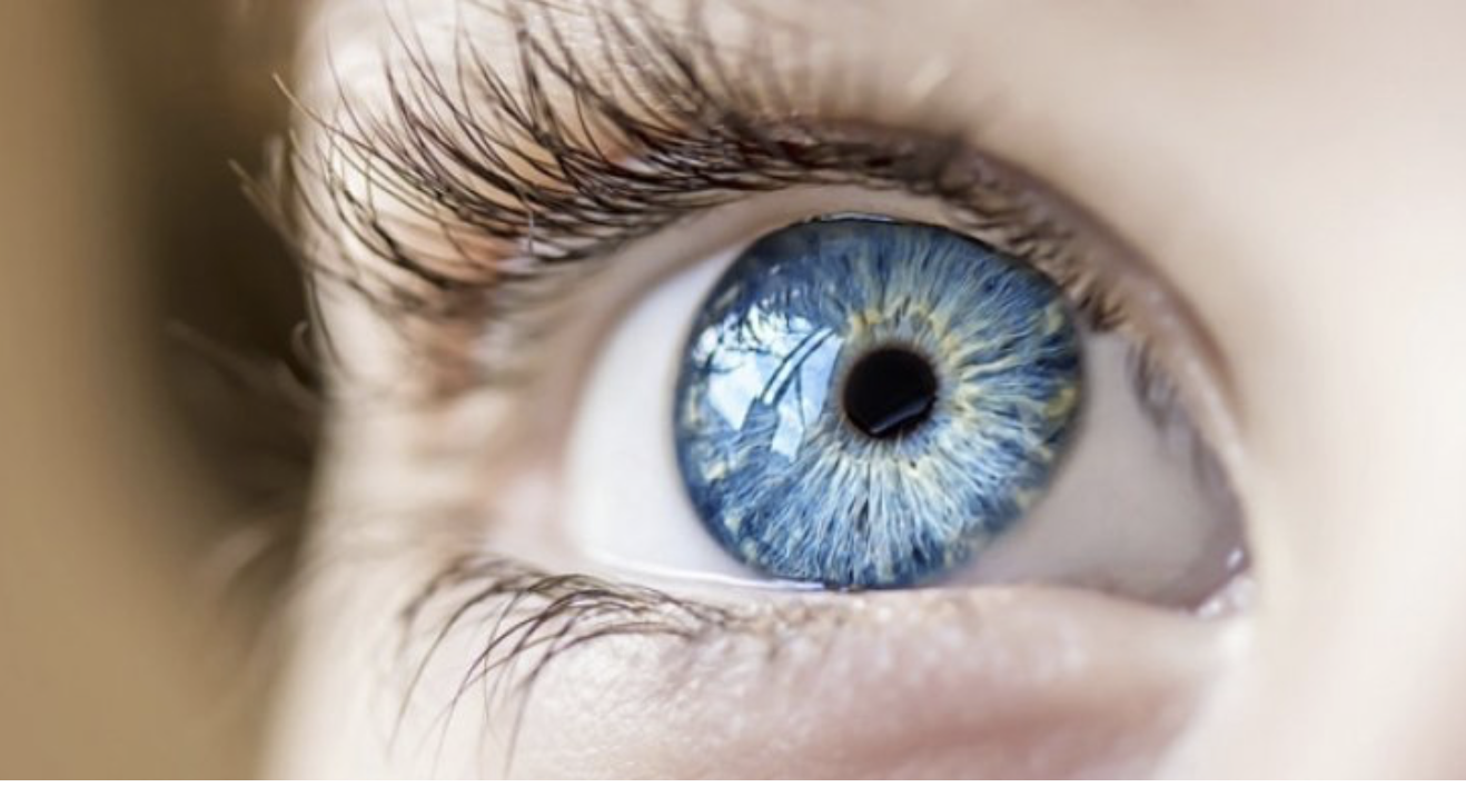 Глаукомата е една от водещите причини за необратима слепота в