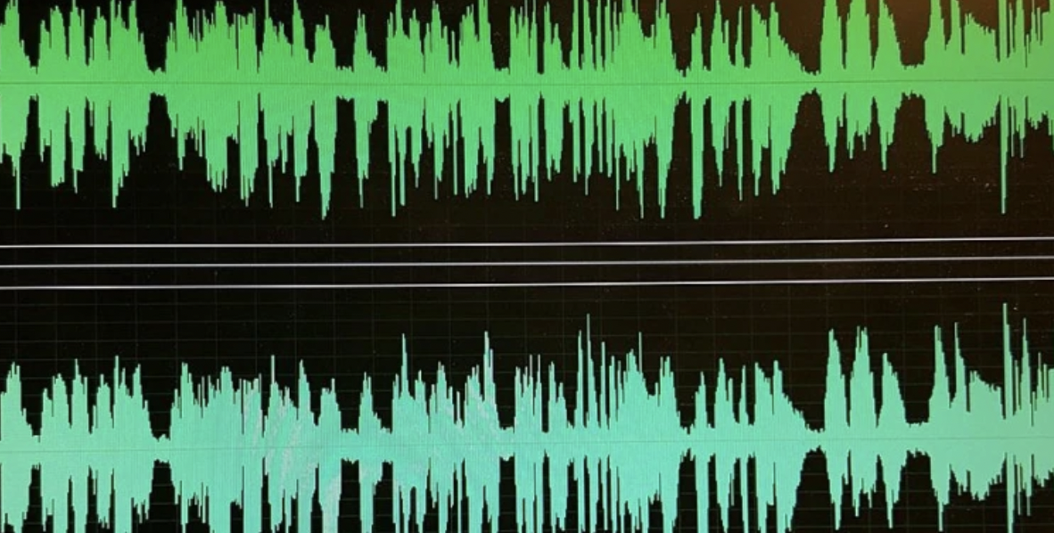 ПП МИР разполага с аудиозапис за купуване и контролиране на