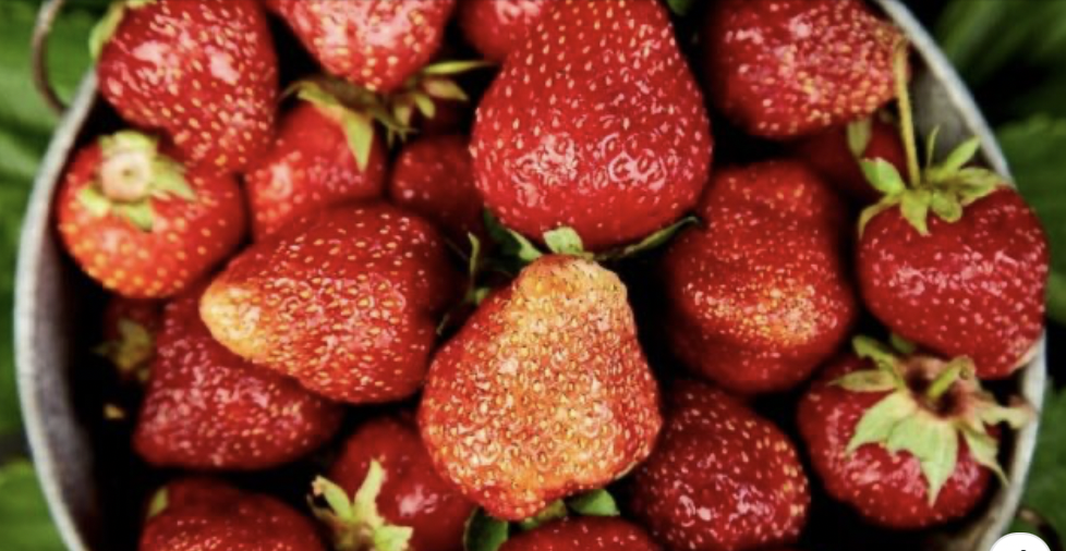 Сезонът на любимите ви ягоди е в разгара си  Пресните плодове