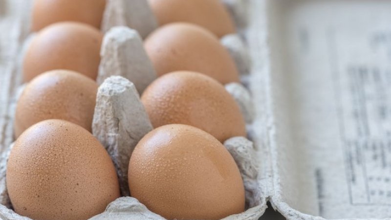 Кой не обича яйца Те са една от най често срещаните