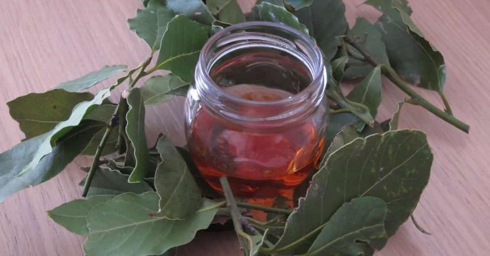 Отвара от дафинов лист и мед – извлича излишната сол