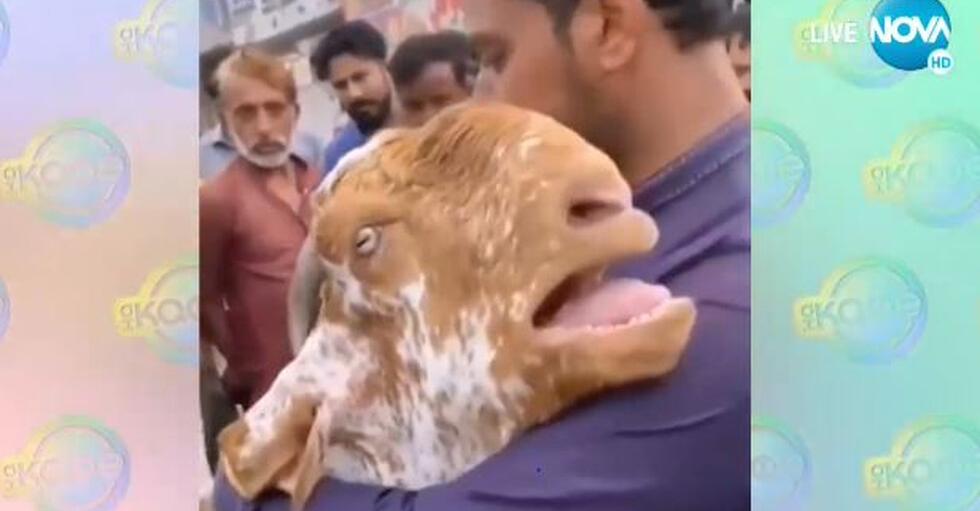 21 секундното видео беше гледано над 25 000 пъти само за