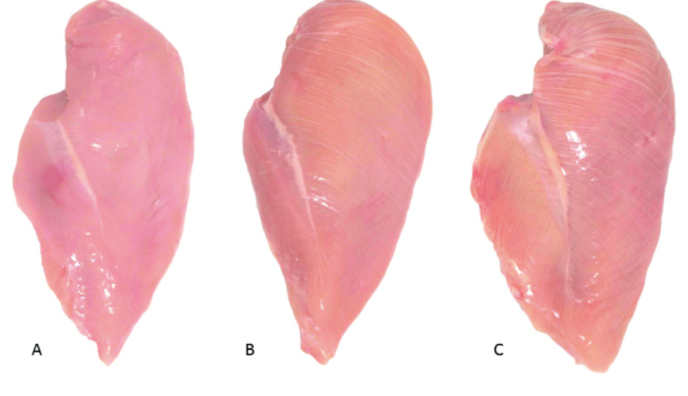 Обикновено суровото пилешко месо има нормален розов цвят но може