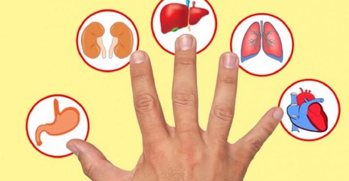 Всеки пръст е свързан с 2 органа: Японски процедури за