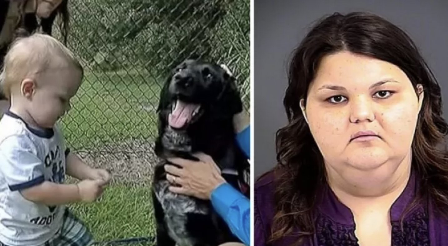 Кучетата могат да бъдат свръх закрилнически към своите приятели хората