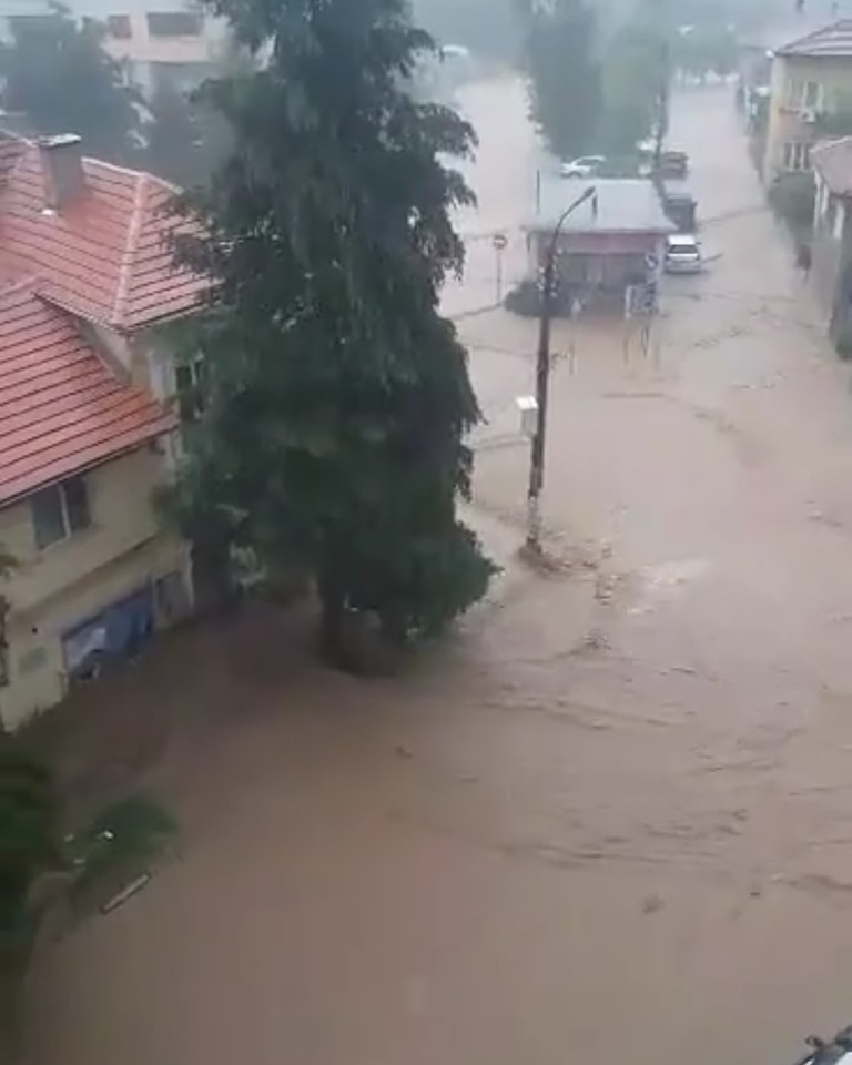 Кадри от потопа в Берковица публикуват хората. Местните показват не