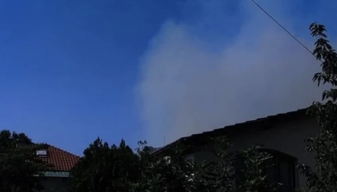 Пламъци лумнаха до Гребната база в Пловдив За това алармираха притеснени граждани