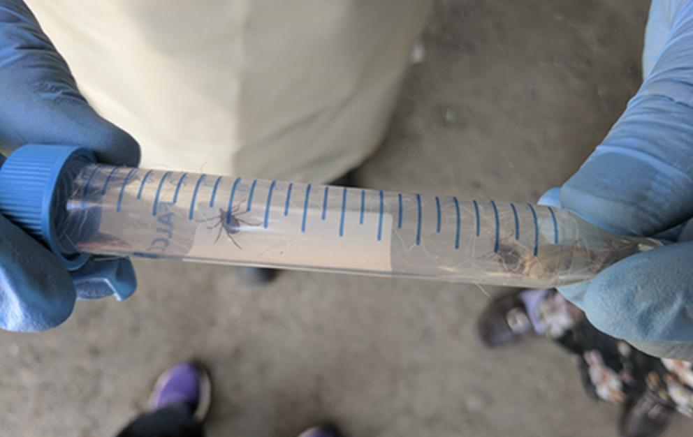 Британските власти предупредиха своите граждани които заминават на почивка в