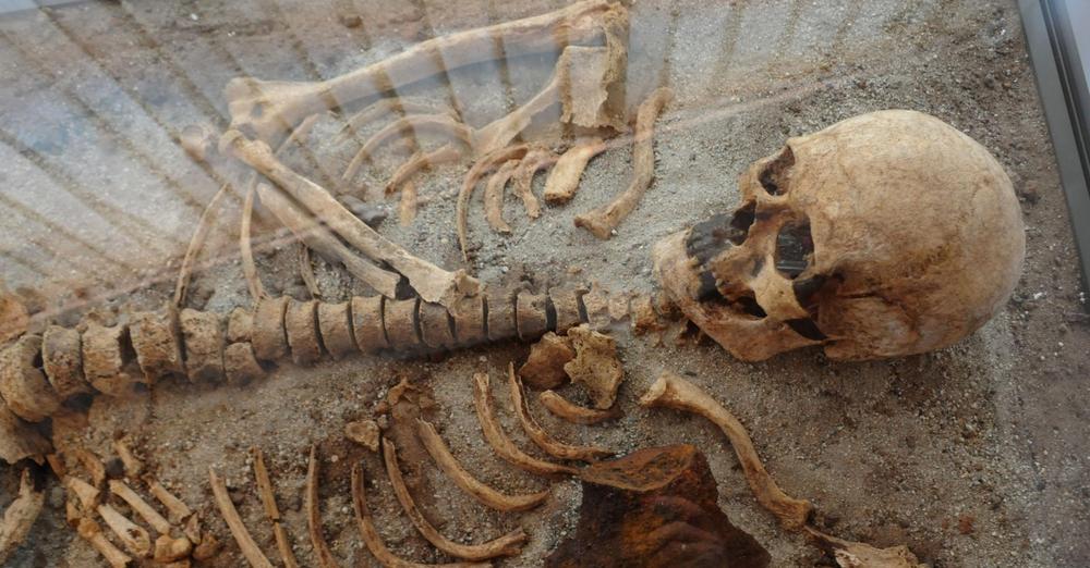 Откриха скелет на гигант край Средец Любопитната находка е открита