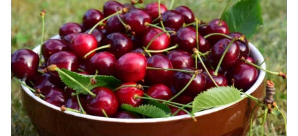 Ако една от основните теми за Великден е откъде да