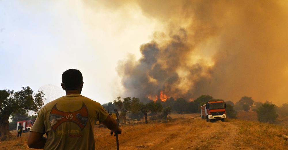 Пожарът в Гърция отново се разгоря Пламъците са достигнали до