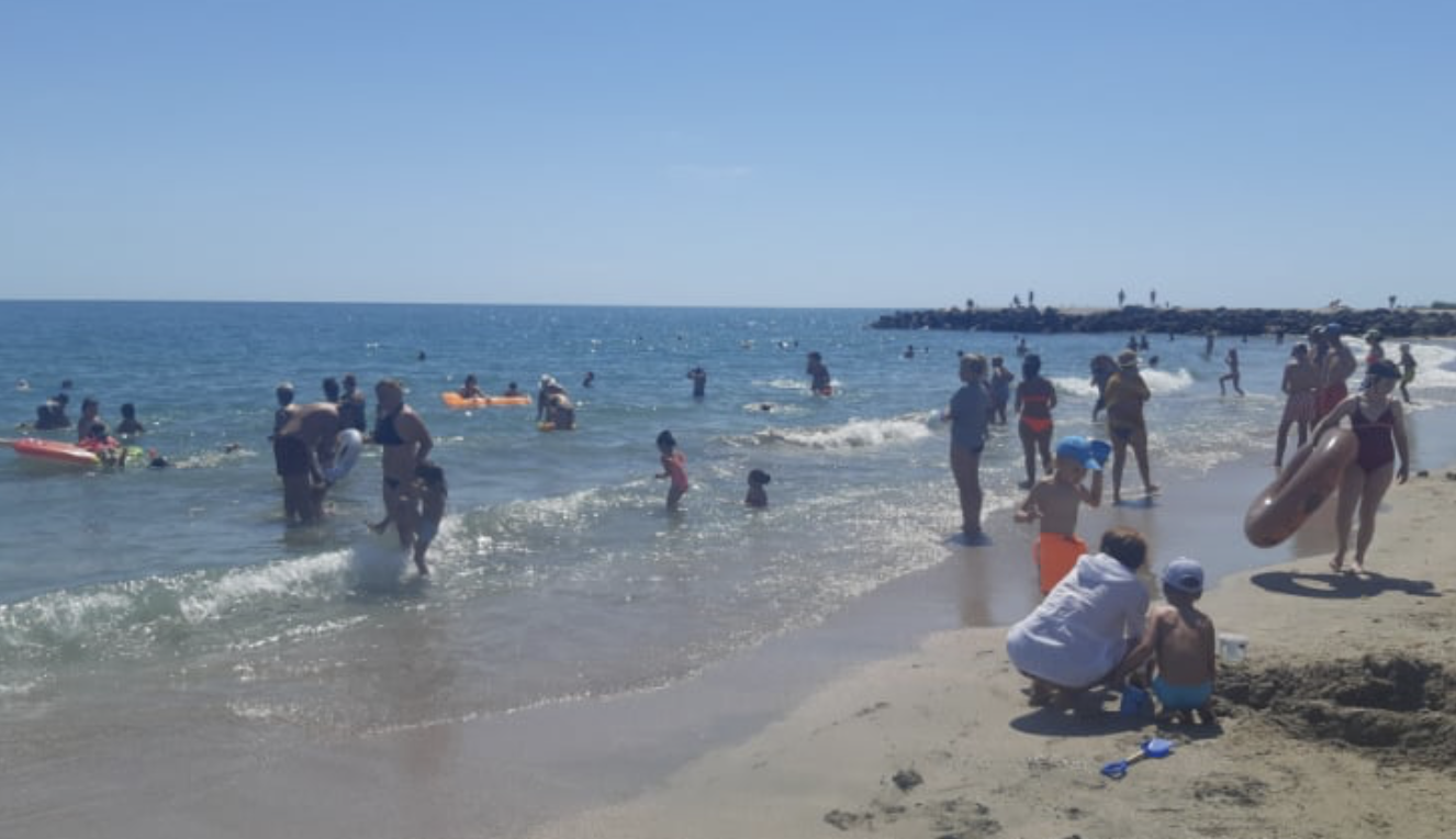 Висока концентрация на медузи в Черно море показват кадри в TikTok с хиляди