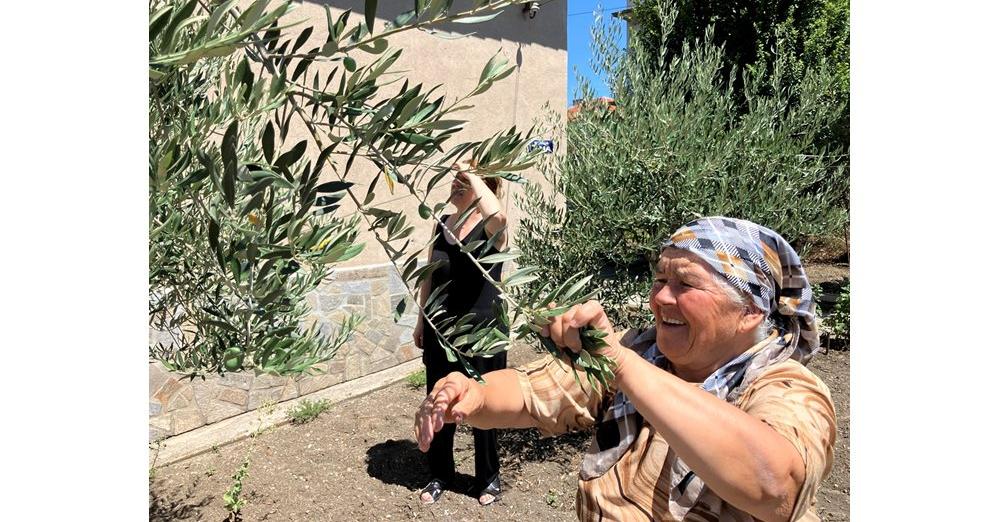 73 годишната Хазел Мустафа от момчилградското с Груево го гледа от 10