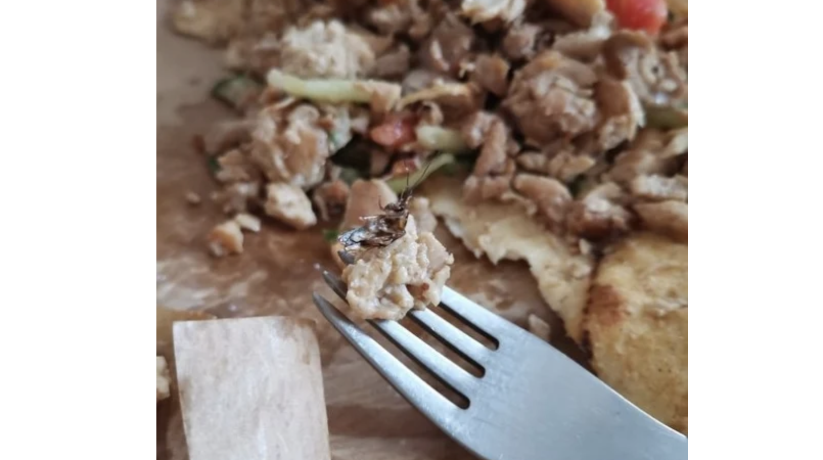 На изключително гнусен бонус се натъкнала жена ядейки дюнер в