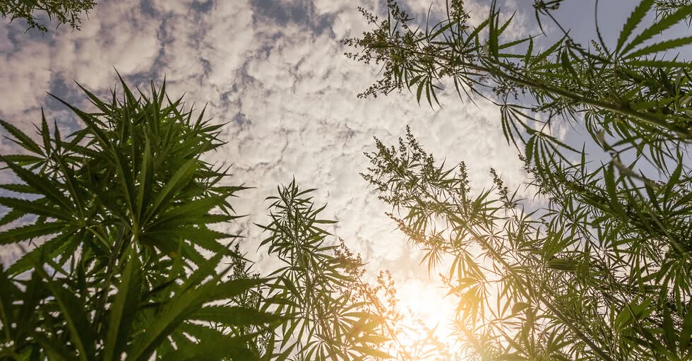 Жителите на турския град Лидже се напушиха след като полицията