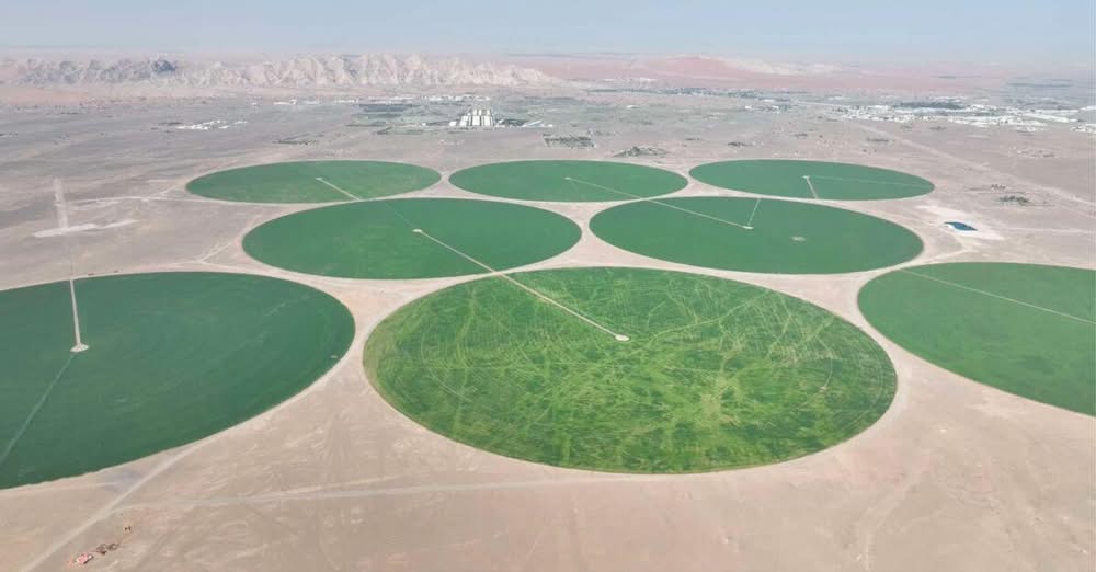 Обединените арабски емирства са едно от най сухите места в света