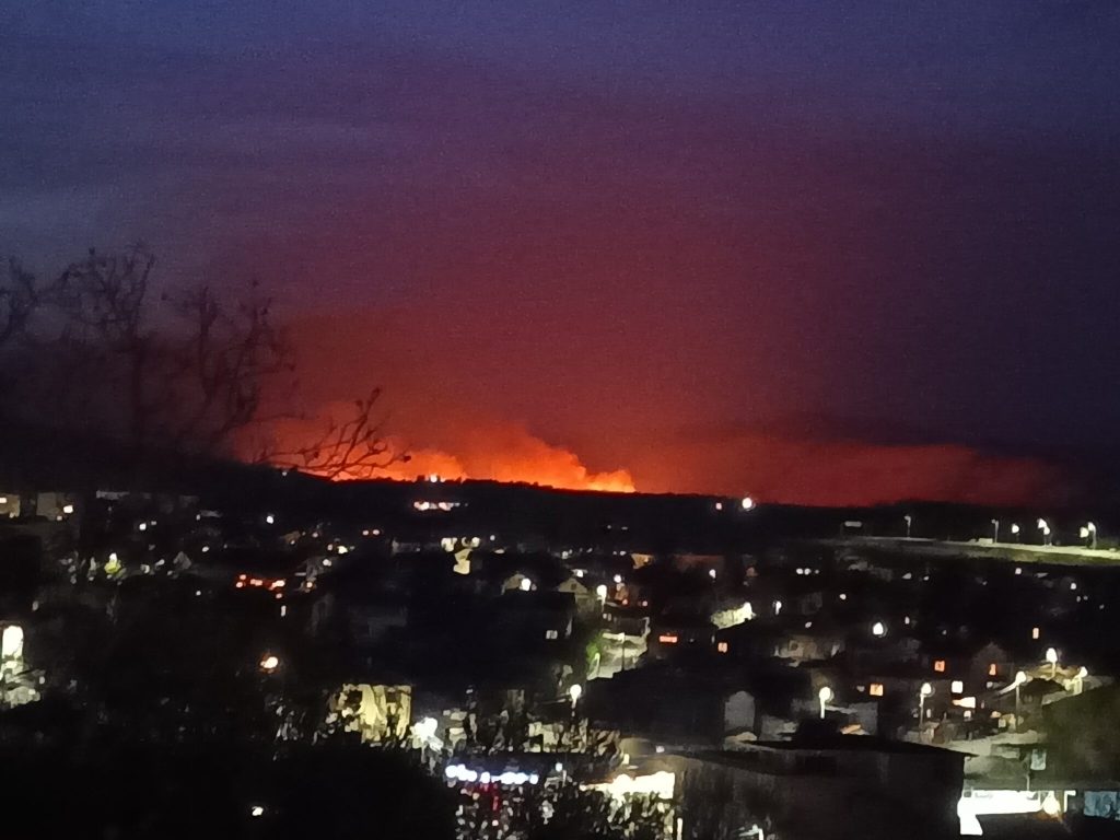 Огромен пожар бушува в защитената зона Алдомировско блато в община