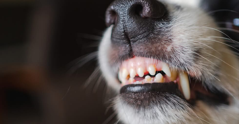 Двама души са приети по спешност в столични болници след