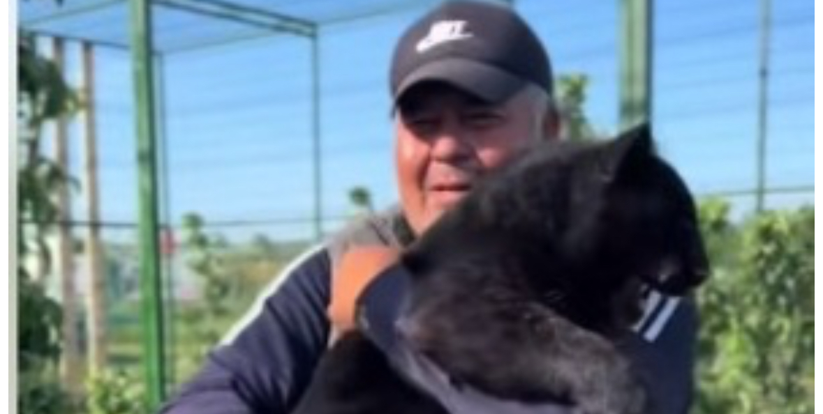 Докато се чудим има ли хищник в шуменските гори тук