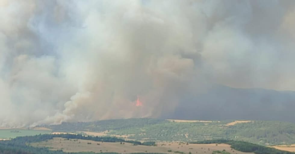 Пореден пожар пламна в страната Пламъци са обхванали района между