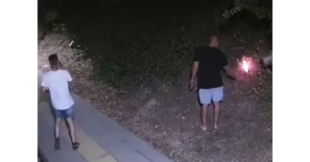 Пожарът между кварталите Бузлуджа и Чолаковци е запален умишлено За