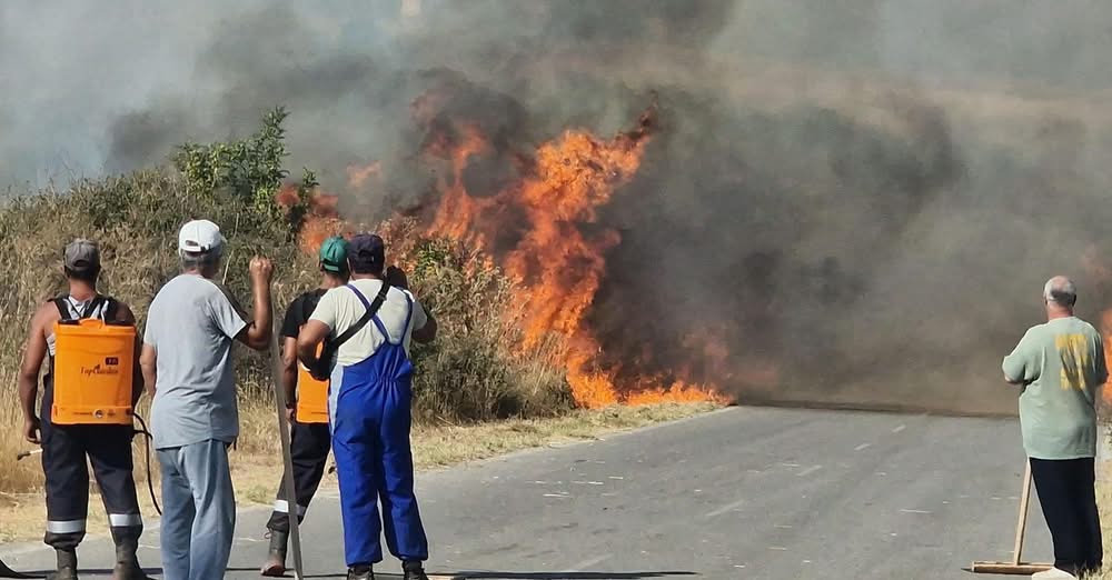 Специално тук в землището на село Илинденци имаме доста тежък
