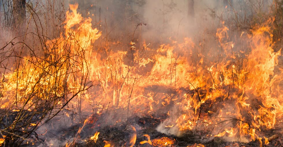 Мъж е задържан във връзка с пожара който избухна вчера