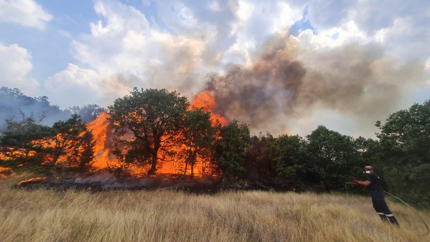 Пожар избухна днес следобед в местността Мумнево край Свиленград Огънят
