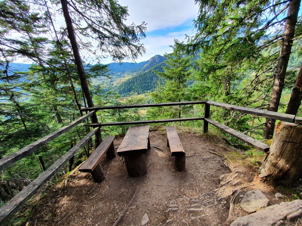 Полицията в Смолян разследва тежко криминално престъпление станало на екопътека