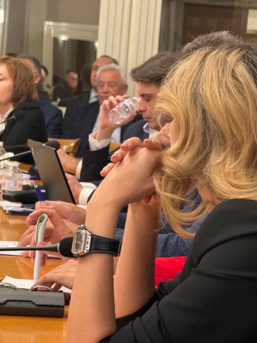 Една от най актуалните депутатки в парламента – ефектната блондинка от