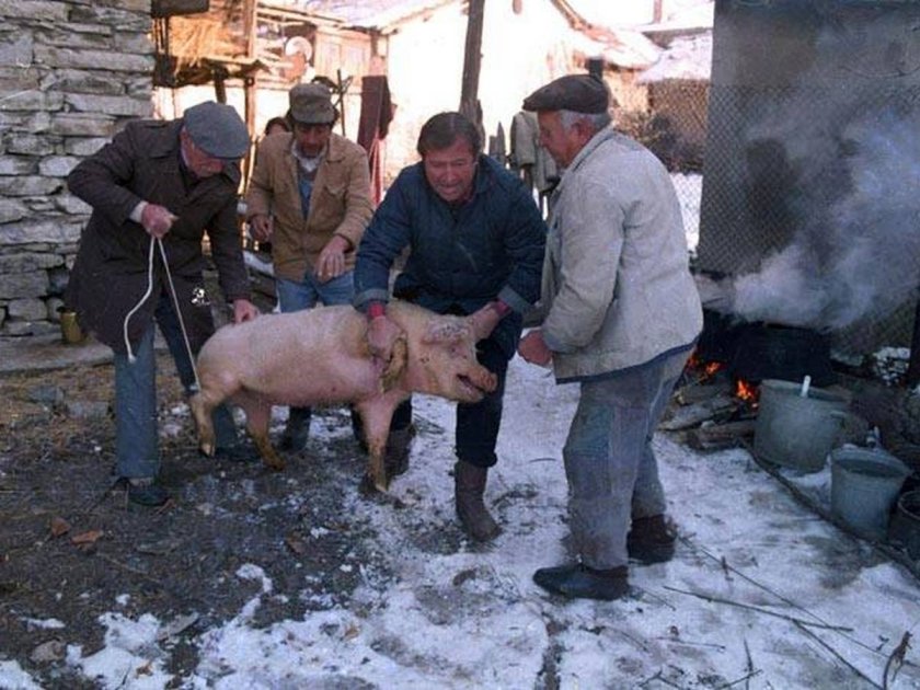 В сезона на Коледните и новогодишните празници повечето семейства у