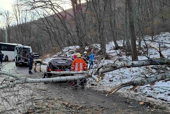 Директорът на Природен парк Витоша инж Севдалина Димитрова определи пред