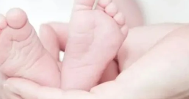 Непорочно зачатие изненада родители и медици във Враца навръх Бабинден