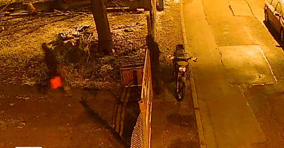 Петима мъже са задържани при специализирана полицейска операция на Столичната