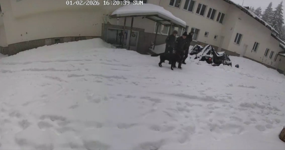 Установено е че наричащите себе си рейнджъри наистина са помагали