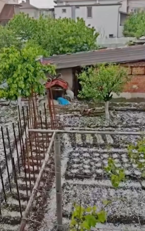В плевенското село Бъркач продължителна градушка унищожи зеленчуковите градини Близо 20