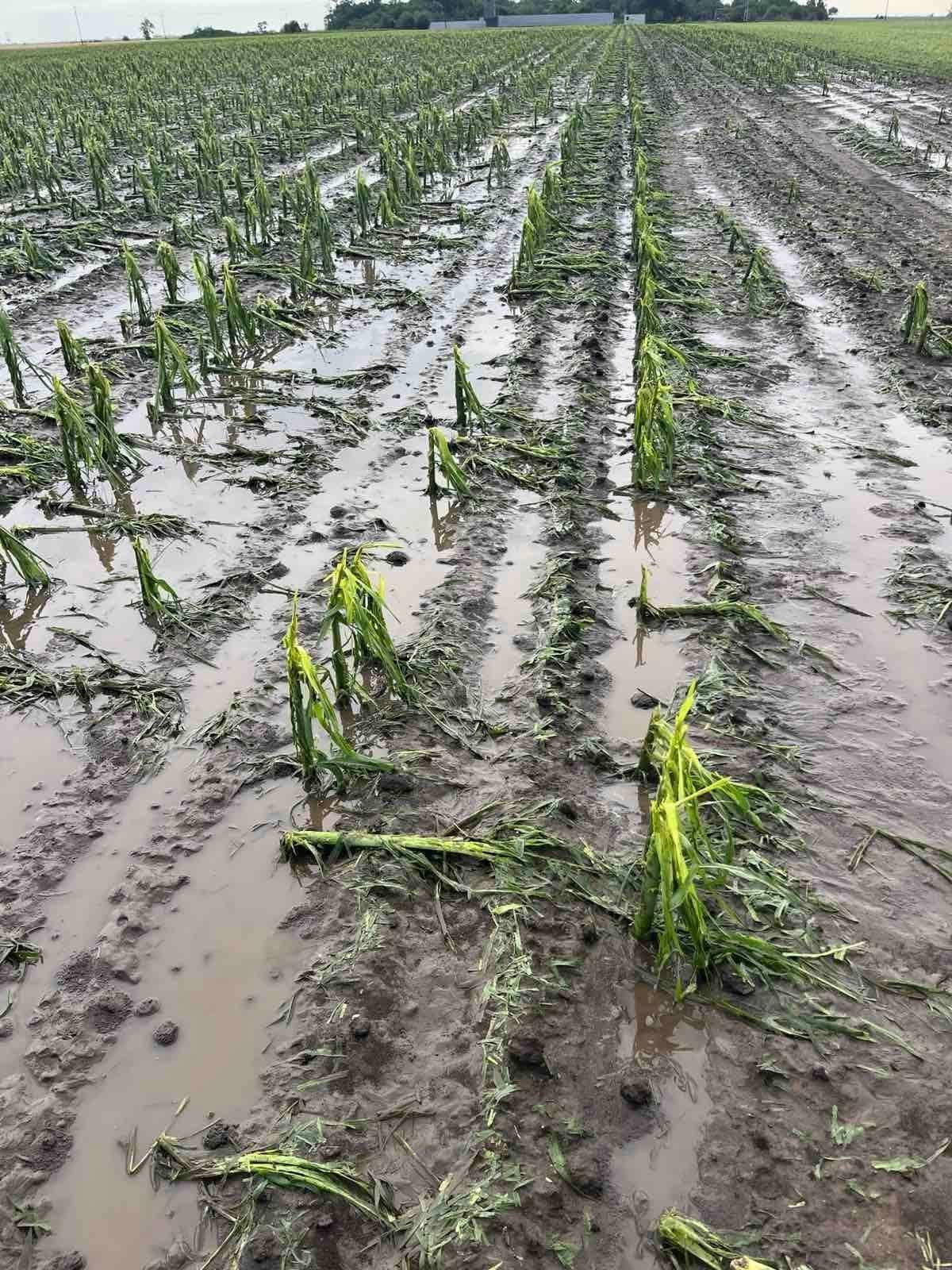 Мощна буря с интензивна градушка връхлетя района на село Хан